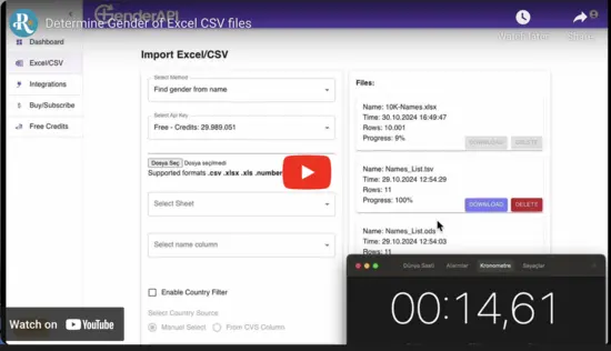 Gender API Excel CSV Video